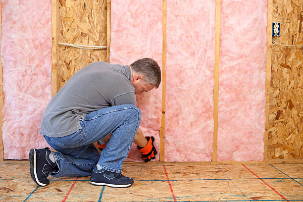 Best DIY Insulation Kits and Guidance in Venice Gardens, FL